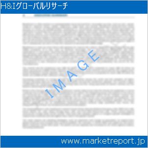 市場と産業調査レポートのイメージ